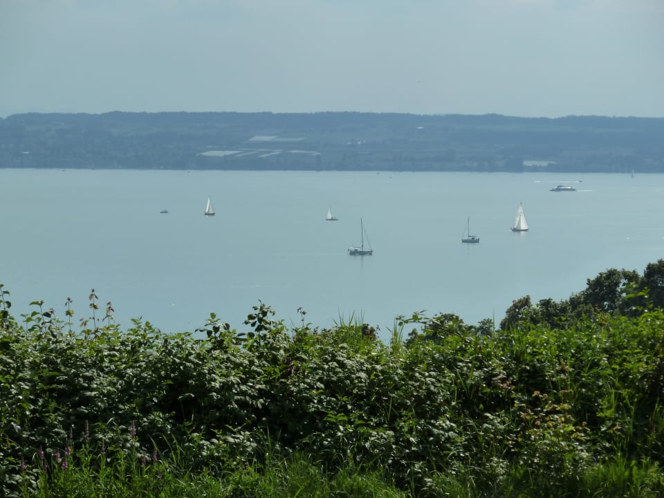 Blick von unserer Terrasse Hotel freiSicht