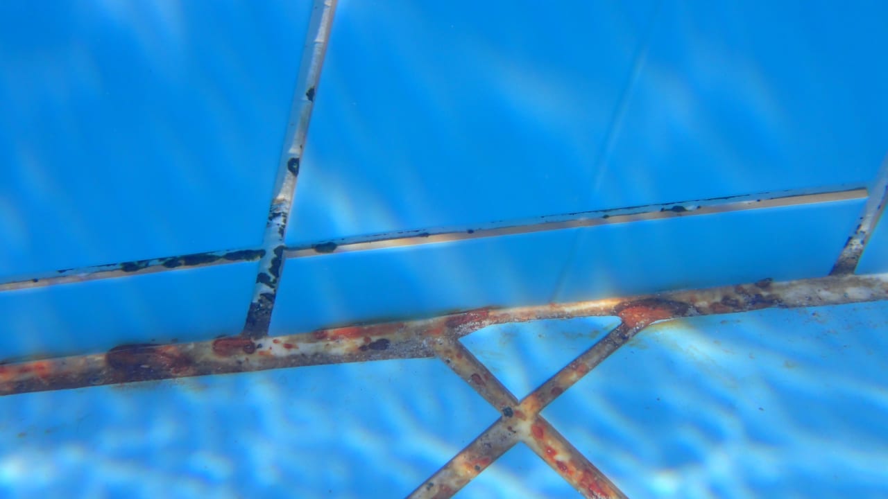 Pool Pharaoh Azur Resort