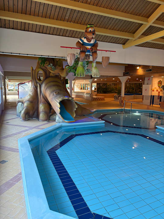 Pool Landal Heideheuvel