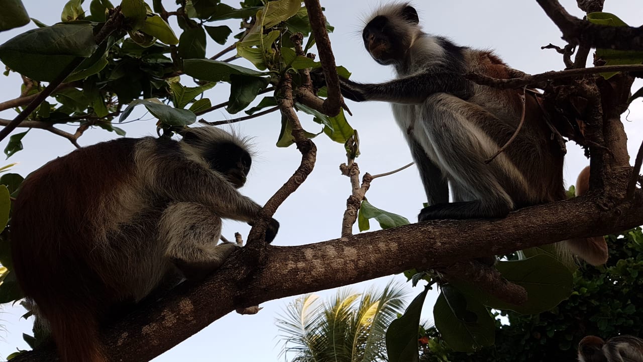 Sonstiges Reef & Beach Resort