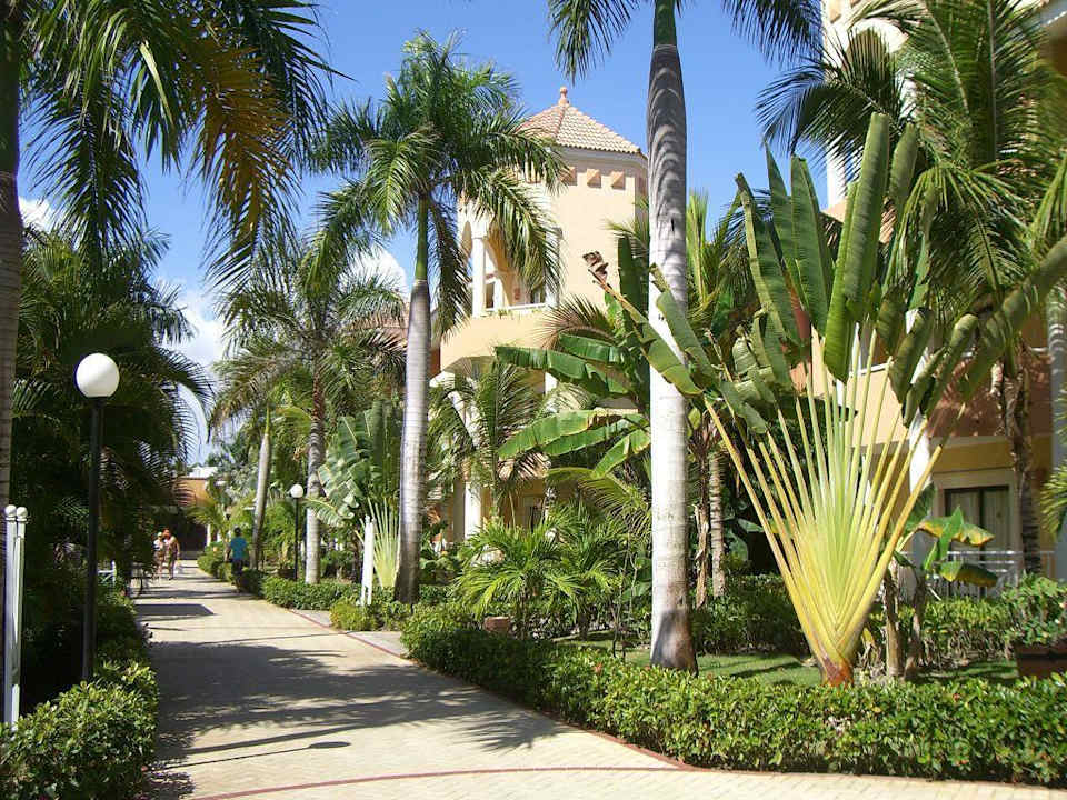 Gartenanlage Bahia Principe Luxury Ambar