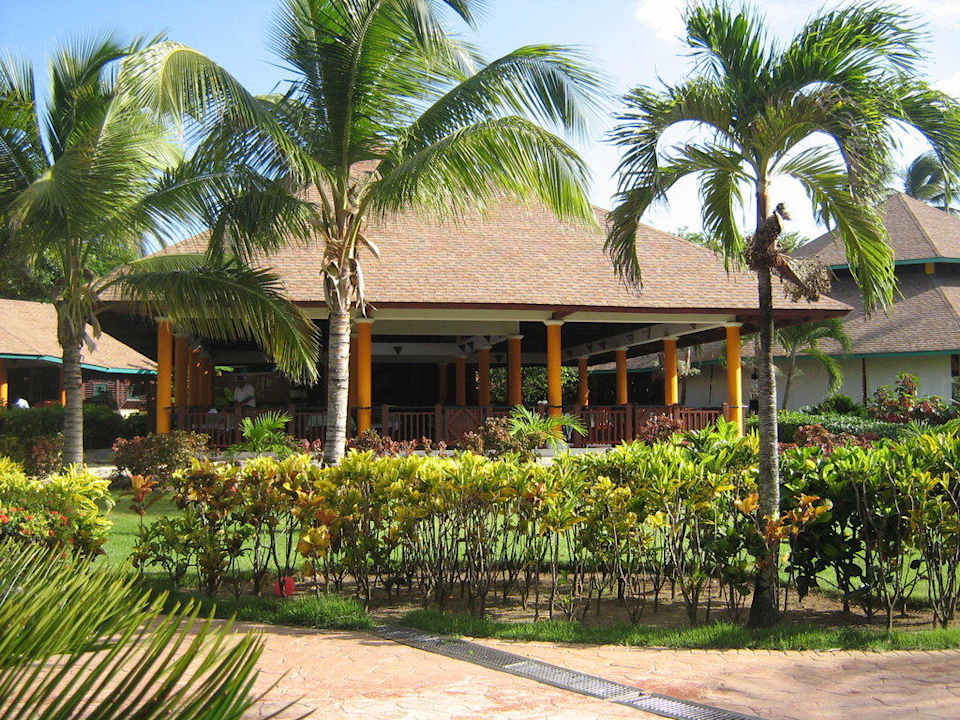 Garten VIK Hotel Arena Blanca