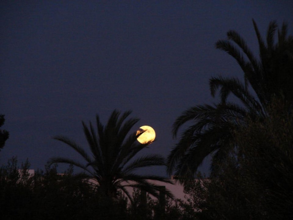 Sousse Hotel El Menchia