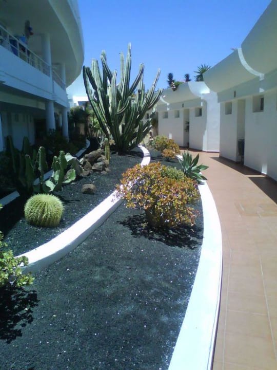 Hotel Barlovento allsun App.-Hotel Barlovento