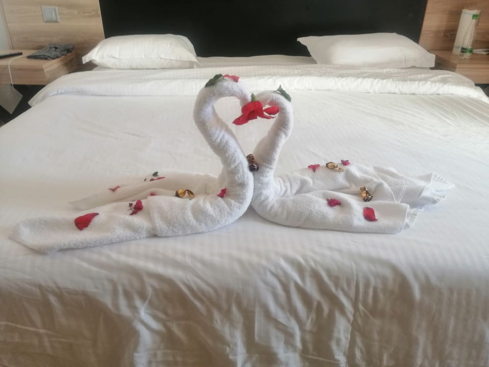 Zimmer Medina Solaria & Thalasso