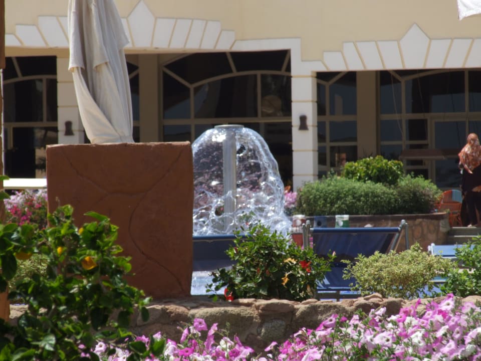 Widok z basenu Regency Plaza Aqua Park & Spa