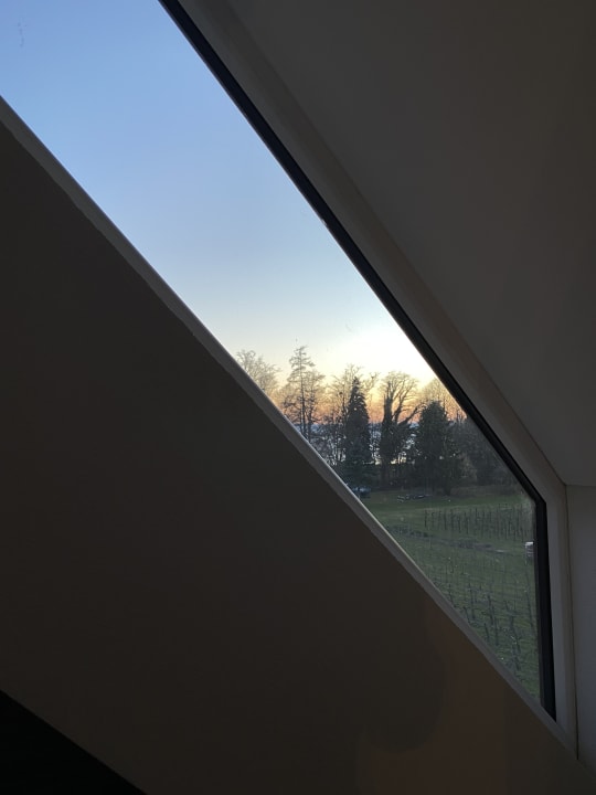 Ausblick Hotel Traube am See