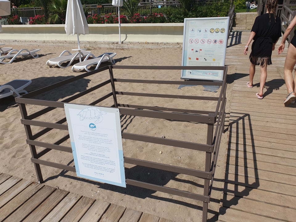 Strand PALOMA Perissia