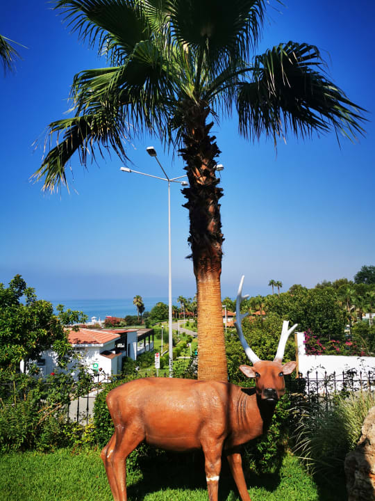 Gartenanlage Alba Queen Hotel