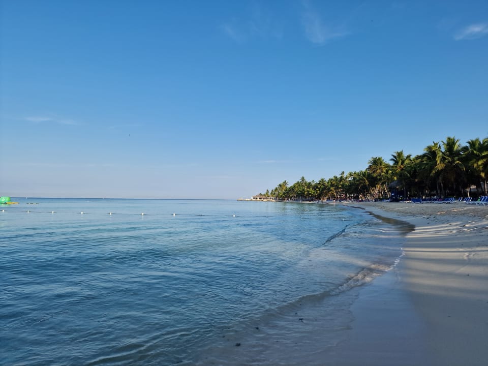 Strand Hotel Viva Dominicus Palace by Wyndham-All Inclusive Resort