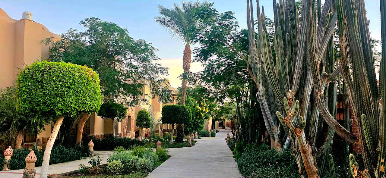 Gartenanlage Shams Alam Beach Resort
