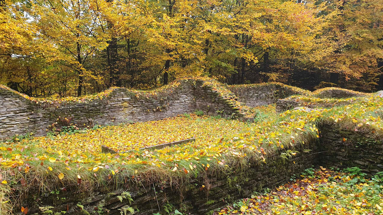 Sport & Freizeit Waldhotel Schinkenwirt