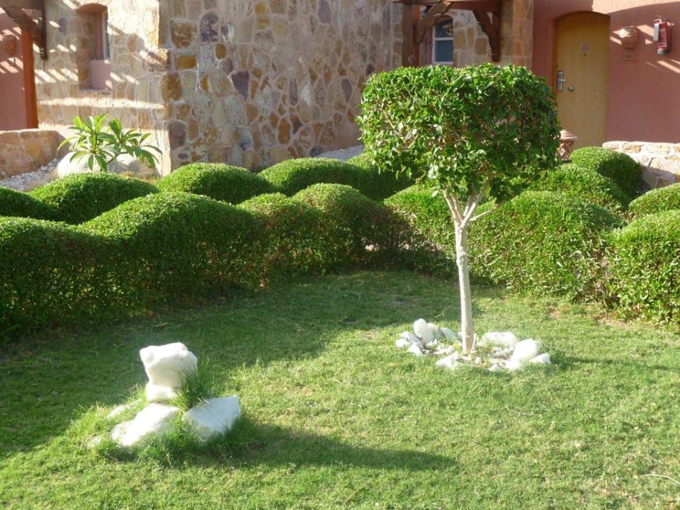 Красота Swisstouch Oriental Resort Marsa Alam