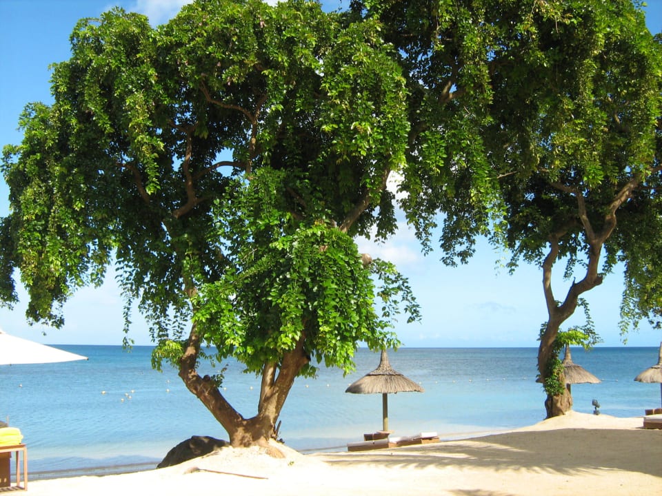 Traumhafter Hotel-Strand Le Jadis Beach Resort & Wellness Mauritius
