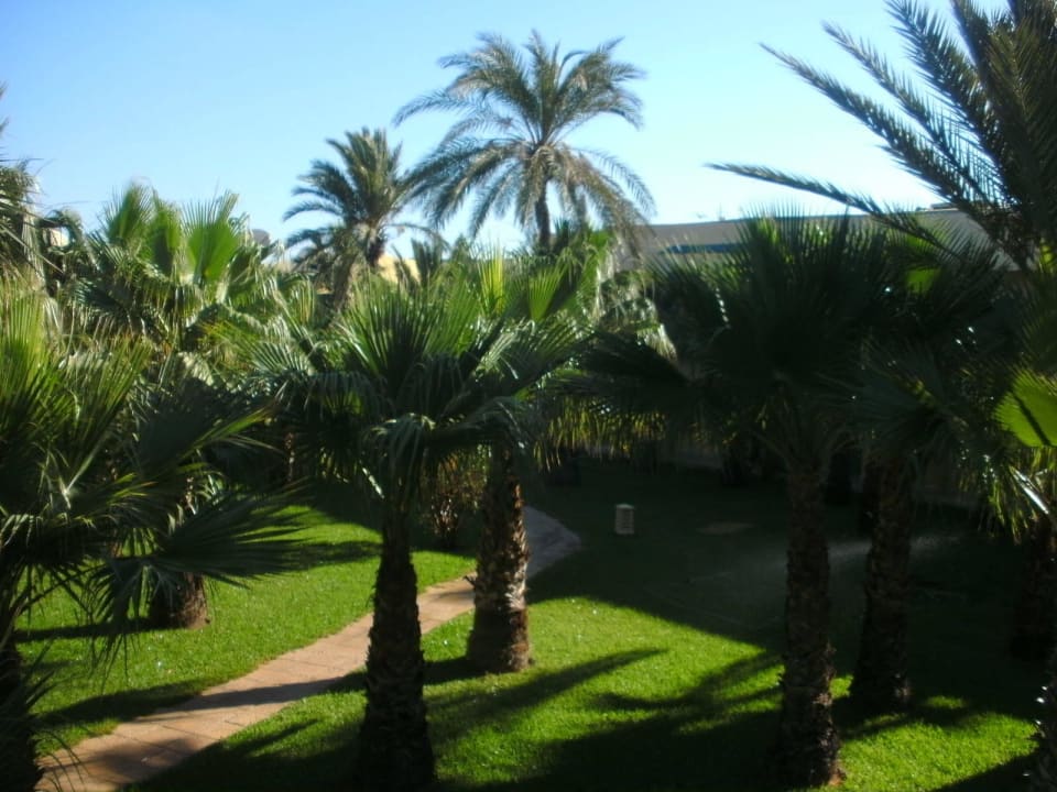 Weg zwischen den Zimmern und Pool The Ksar Djerba Charming Hotel & SPA