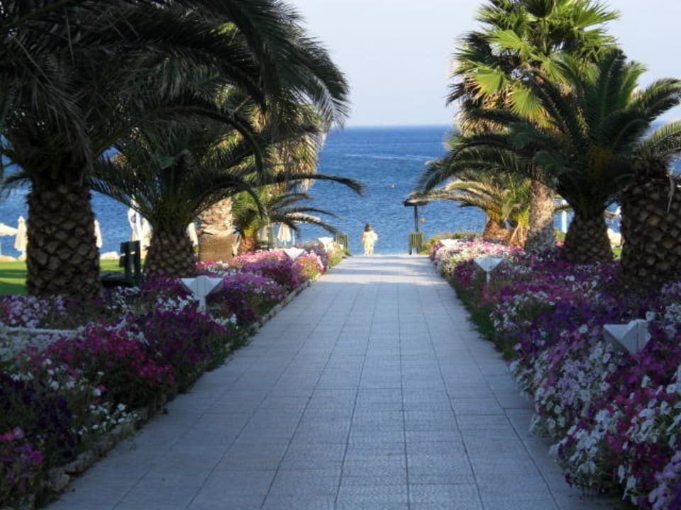 Weg zum Strand Rodos Palladium Leisure & Wellness