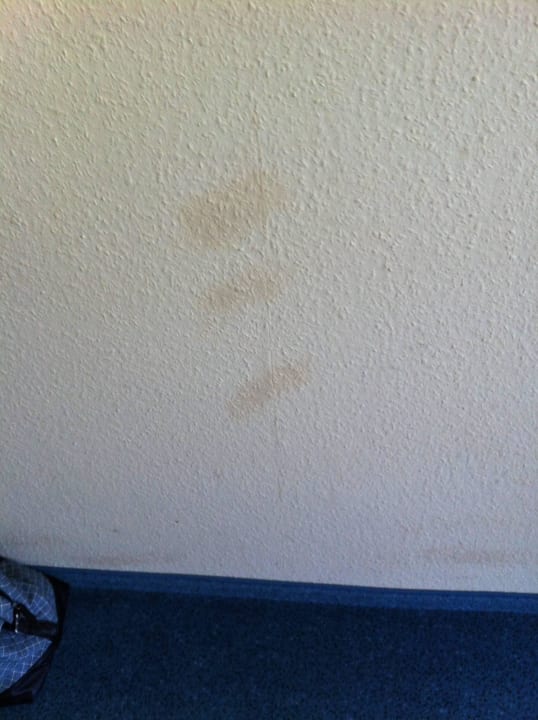 Wandbemalung feelMOOR - Das Gesundresort Bad Wurzach