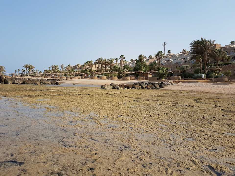 Strand Pickalbatros Citadel Resort