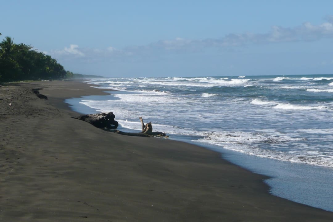Strand Hotel Miss Junie's