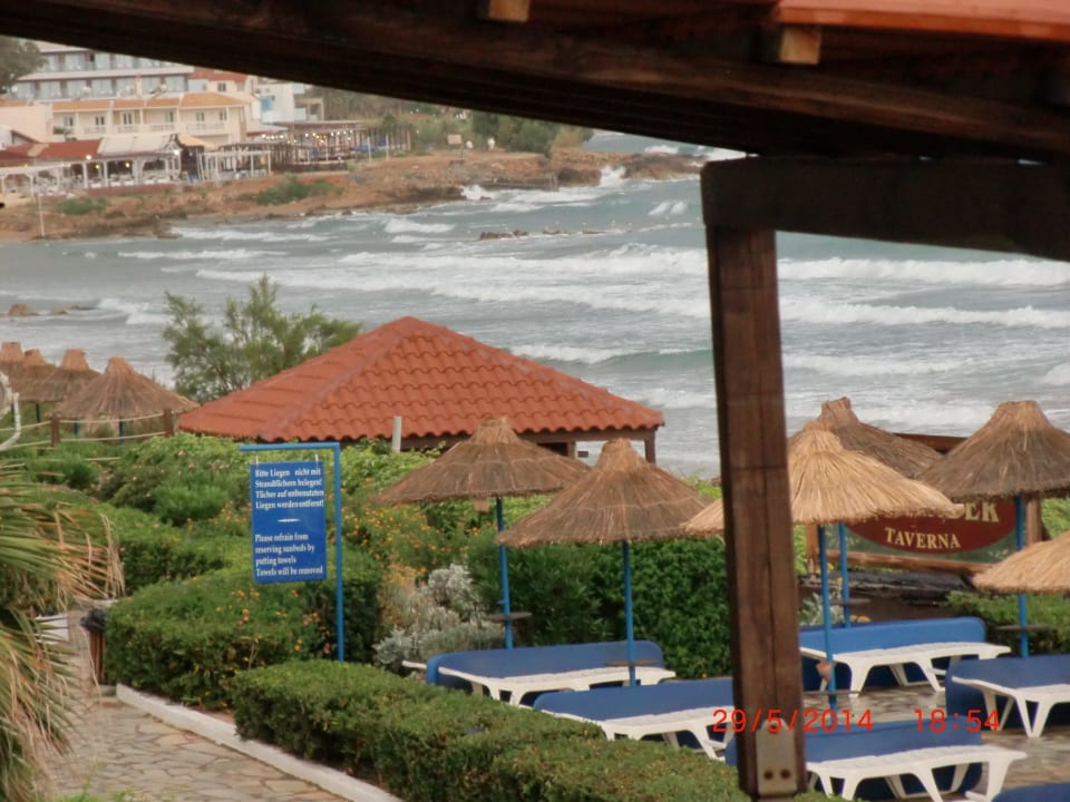 Liegenbereich Alexander Beach Hotel & Village Resort