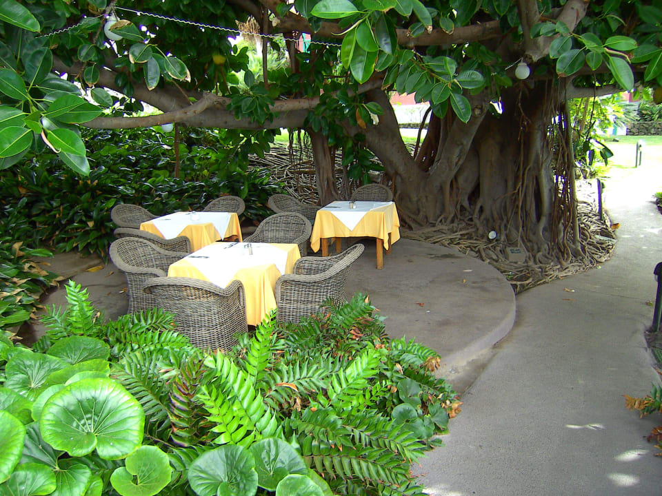 Unser Platz beim Frühstück/Abendessen Hacienda San Jorge