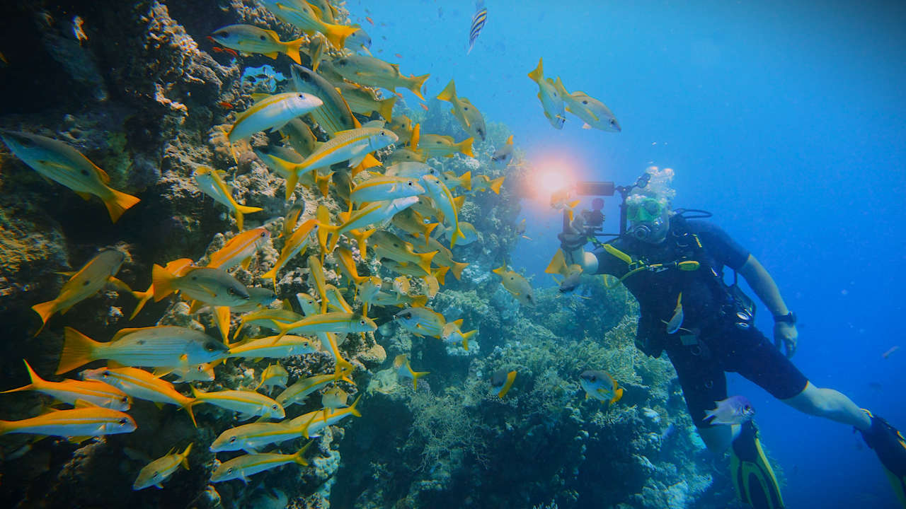 Sport & Freizeit Coral Hills Resorts & SPA