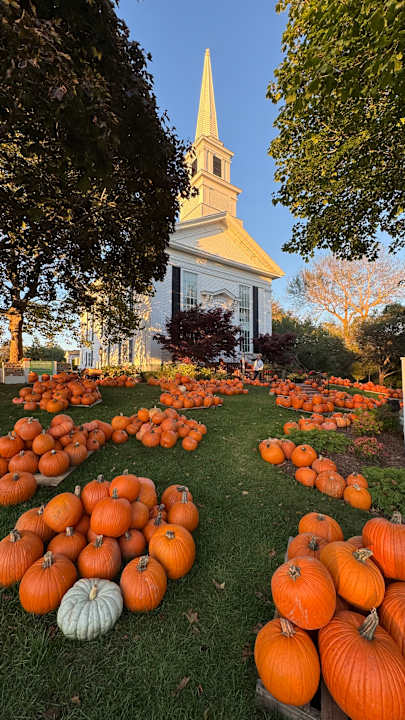 Gartenanlage Captain`s House Inn