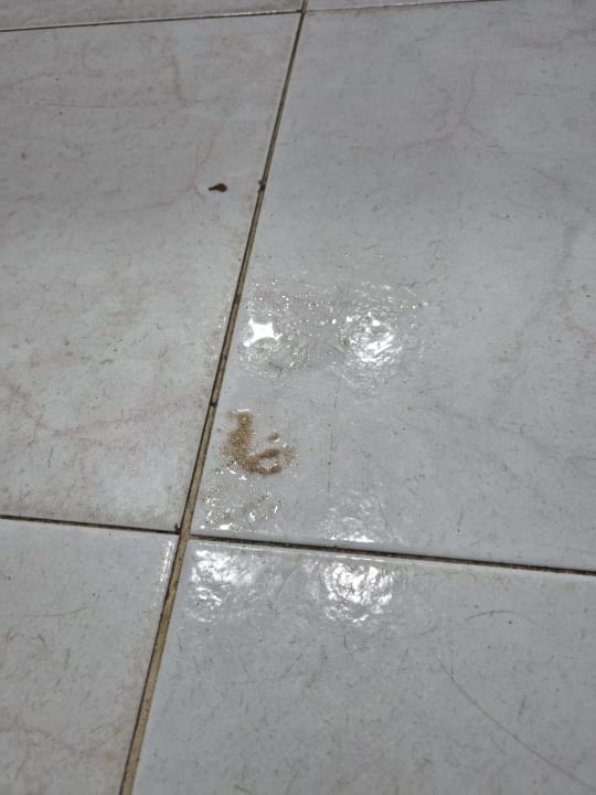 Zimmer Hotel Viva Dominicus Beach by Wyndham - All Inclusive Resort