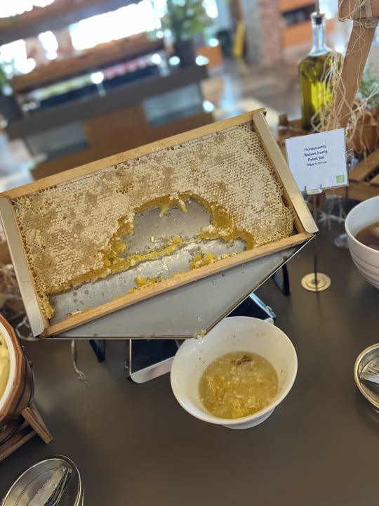 Gastro TUI BLUE Barut Andız - All Inclusive - Adults Only