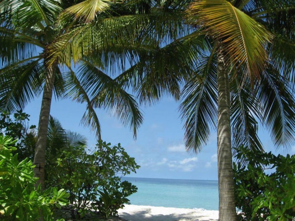 Strand, Superior-Bungalows Filitheyo Island Resort
