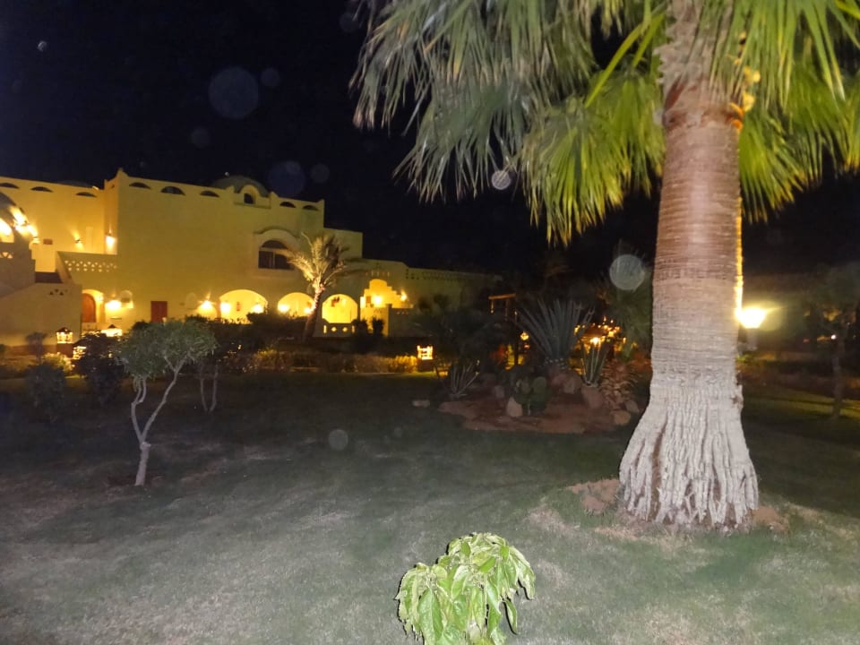 Вид с балкона вечером Regency Plaza Aqua Park & Spa