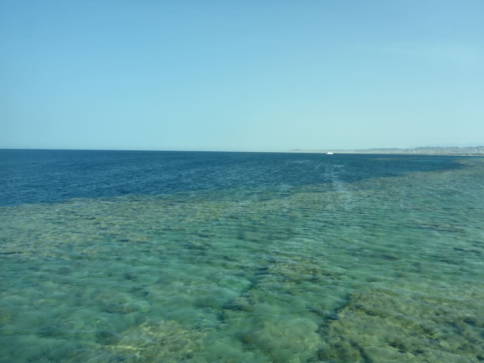 Strand Hotel Gorgonia Beach Resort