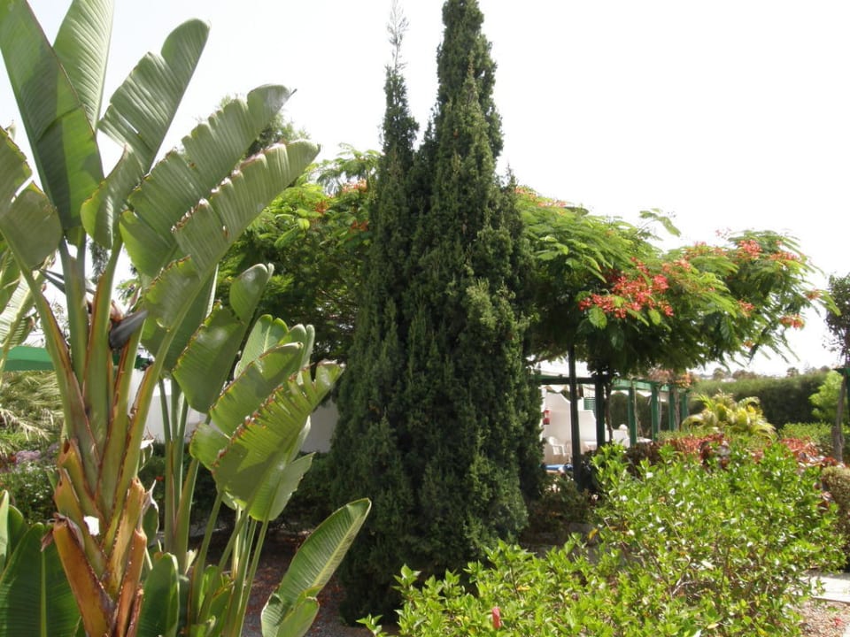 Ausblick aus dem Bungalow Bungalows Cordial Sandy Golf
