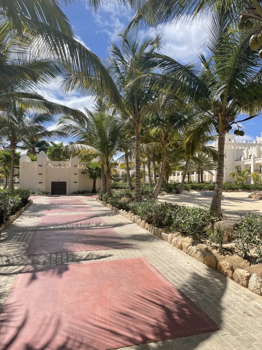 Gartenanlage Hotel Riu Karamboa