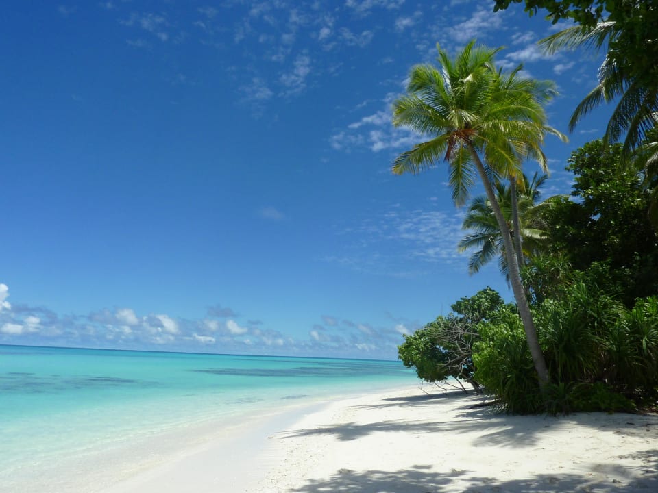 Robinson Feeling Kuredu Island Resort & Spa