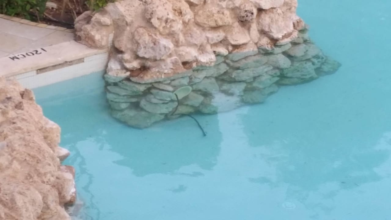 Stromkabel von der poollampe im wasser Ghazala Gardens