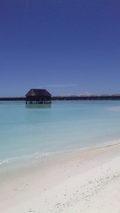 Honeymoon Suiten östliche Seite Meeru Maldives Resort Island