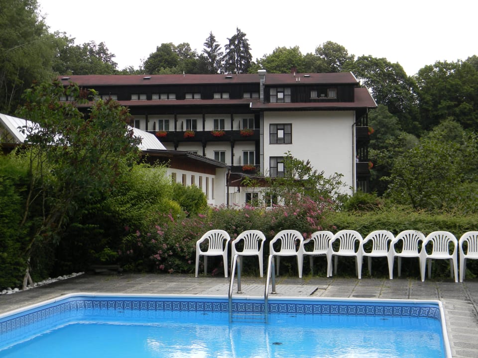 Kleiner Pool im Garten Hotel Am Steinbachtal