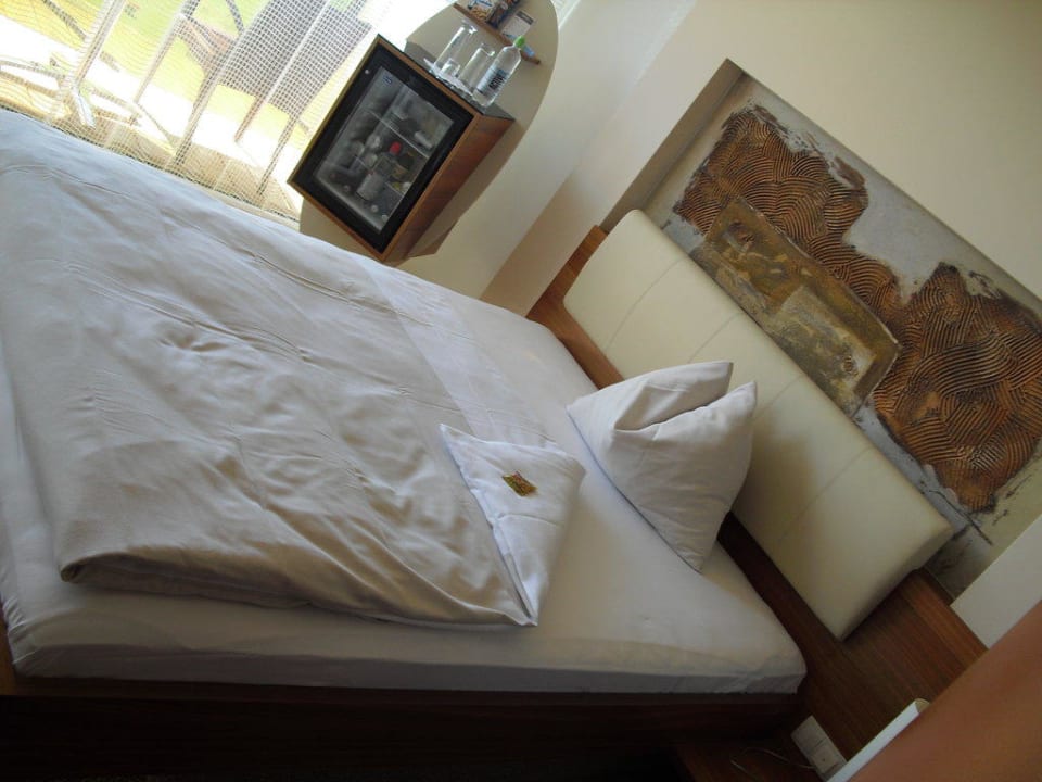 Zimmer AVIVA make friends