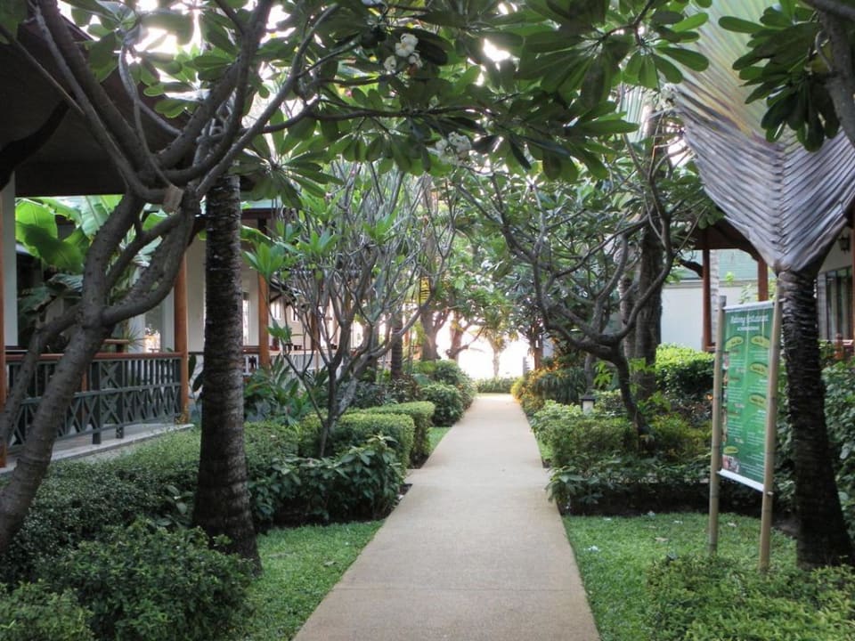 Der Gang zum Strand Banana Fan Sea Resort