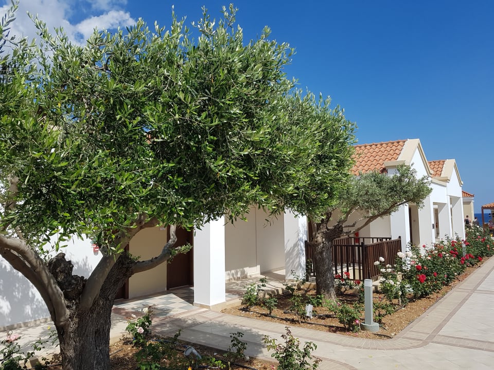 Ausblick Lindos Imperial Resort & Spa