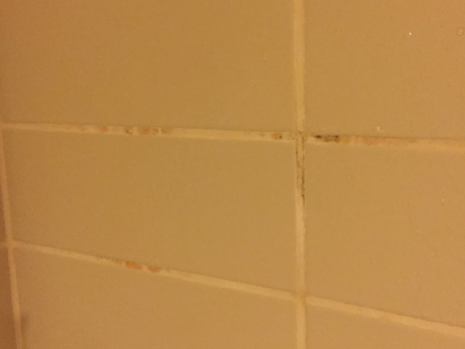 Zimmer Orange County Kemer