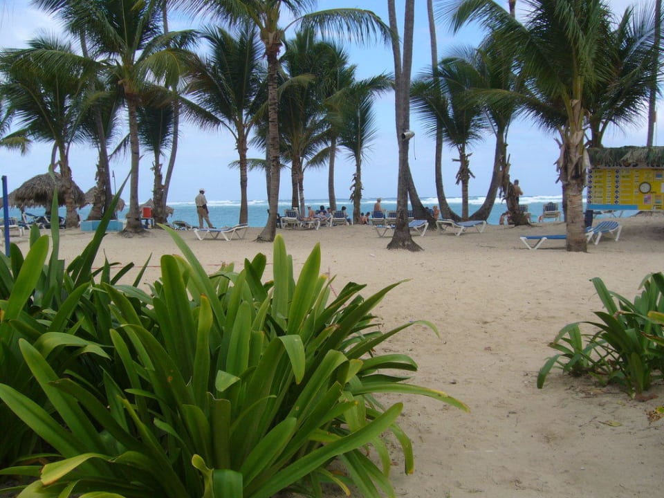 Der Strand von der Bar aus Royalton Splash Punta Cana