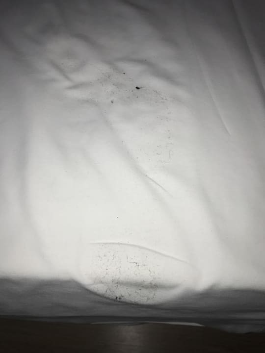 Zimmer Seaden Sea World Resort & Spa