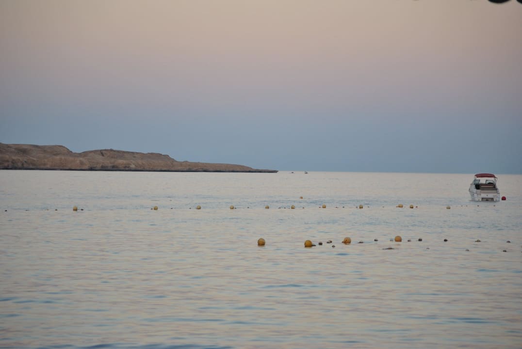 Gegen Abend am Strand Ghazala Gardens