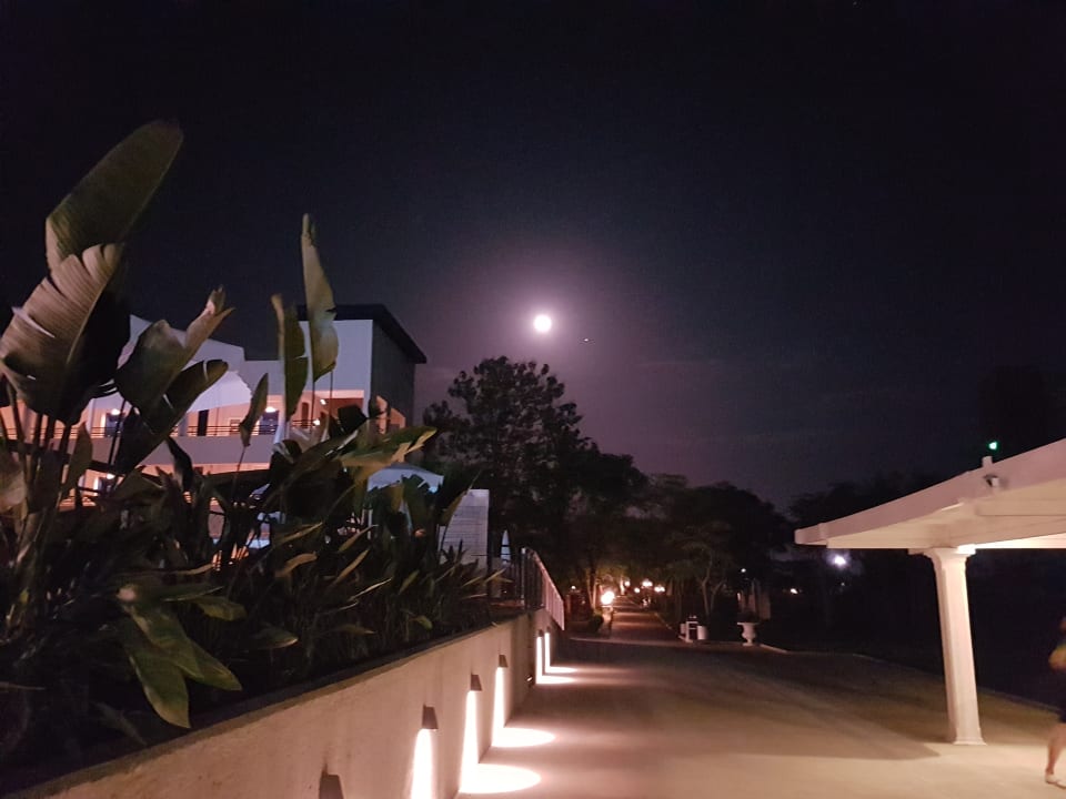 Gartenanlage Labranda Alantur Resort