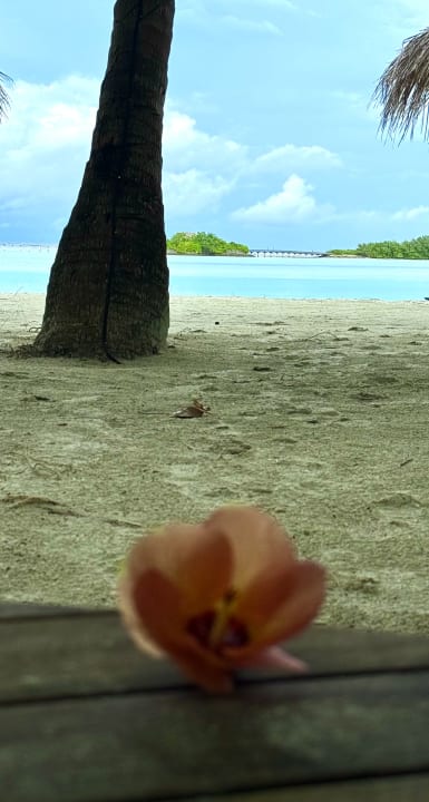 Ausblick Cinnamon Dhonveli Maldives