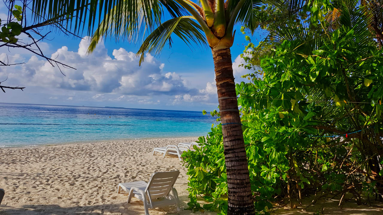 Strand Safari Island Maldives