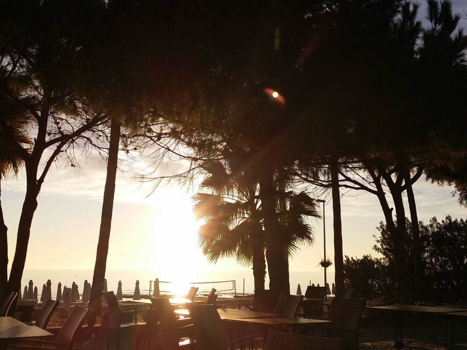 Barut Hemera Barut Hemera