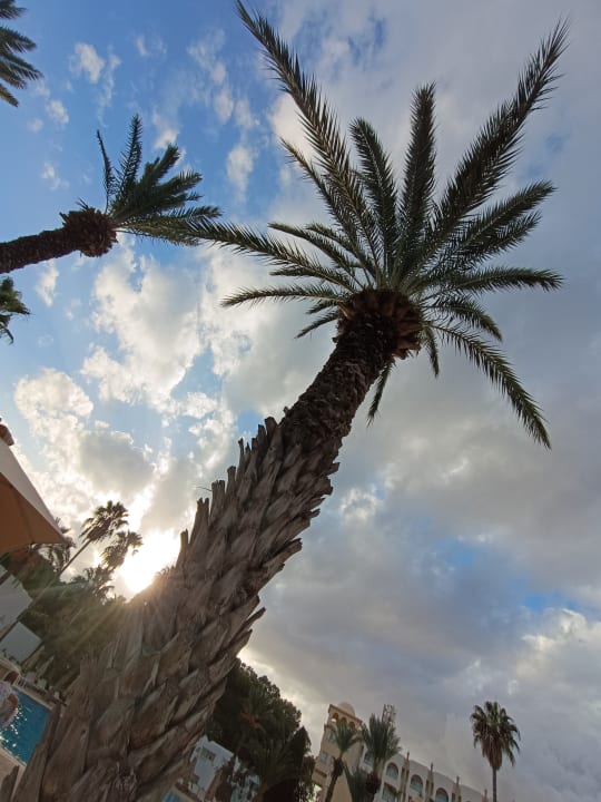 Strand Steigenberger Marhaba Thalasso Hammamet